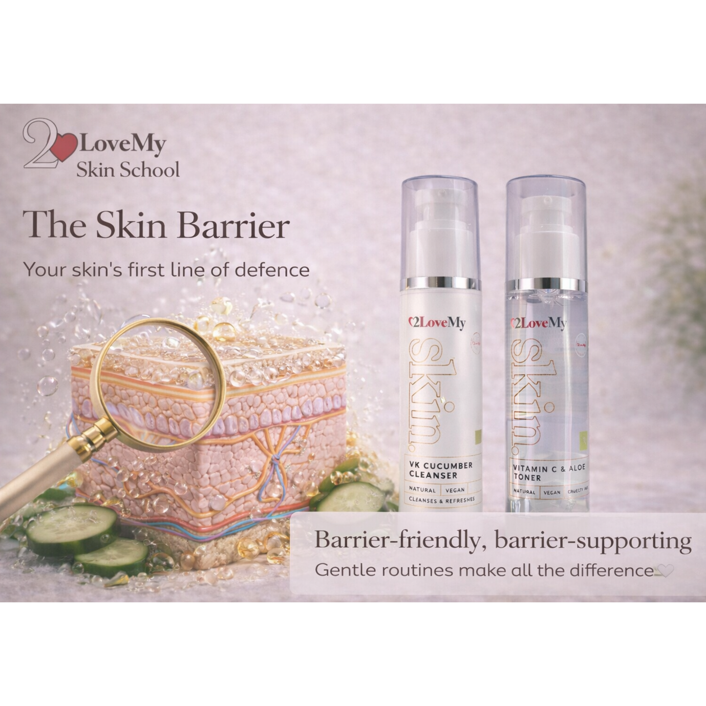 The Skin Barrier & How To Care For It